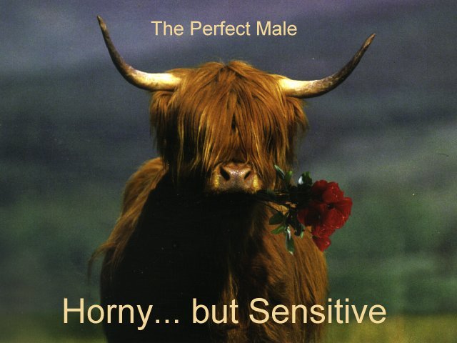 the perfect man horny